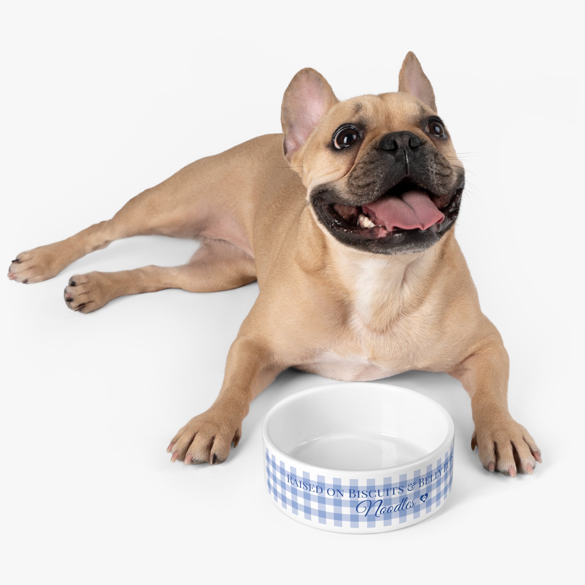 Personalized Dog Food Bowl – “Raised on Biscuits & Belly Rubs” | Custom Ceramic Pet Dish with Blue Gingham Design