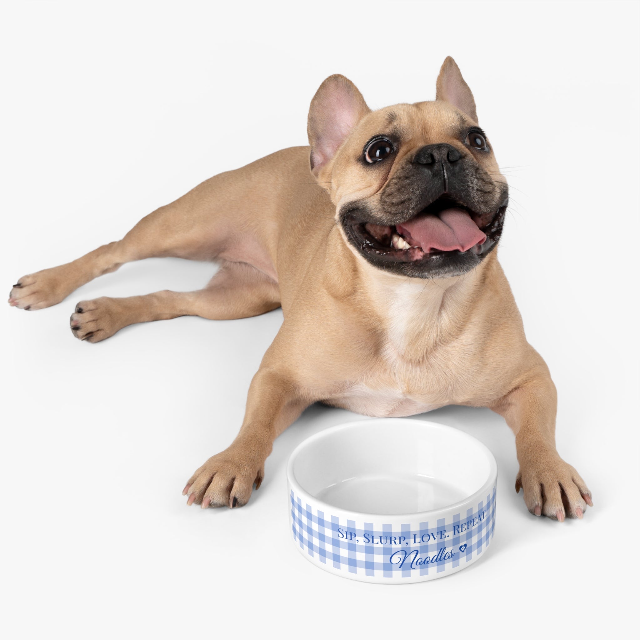 Personalized Dog Water Bowl – “Sip, Slurp, Love. Repeat.” Custom Ceramic Pet Dish with Blue Gingham Design