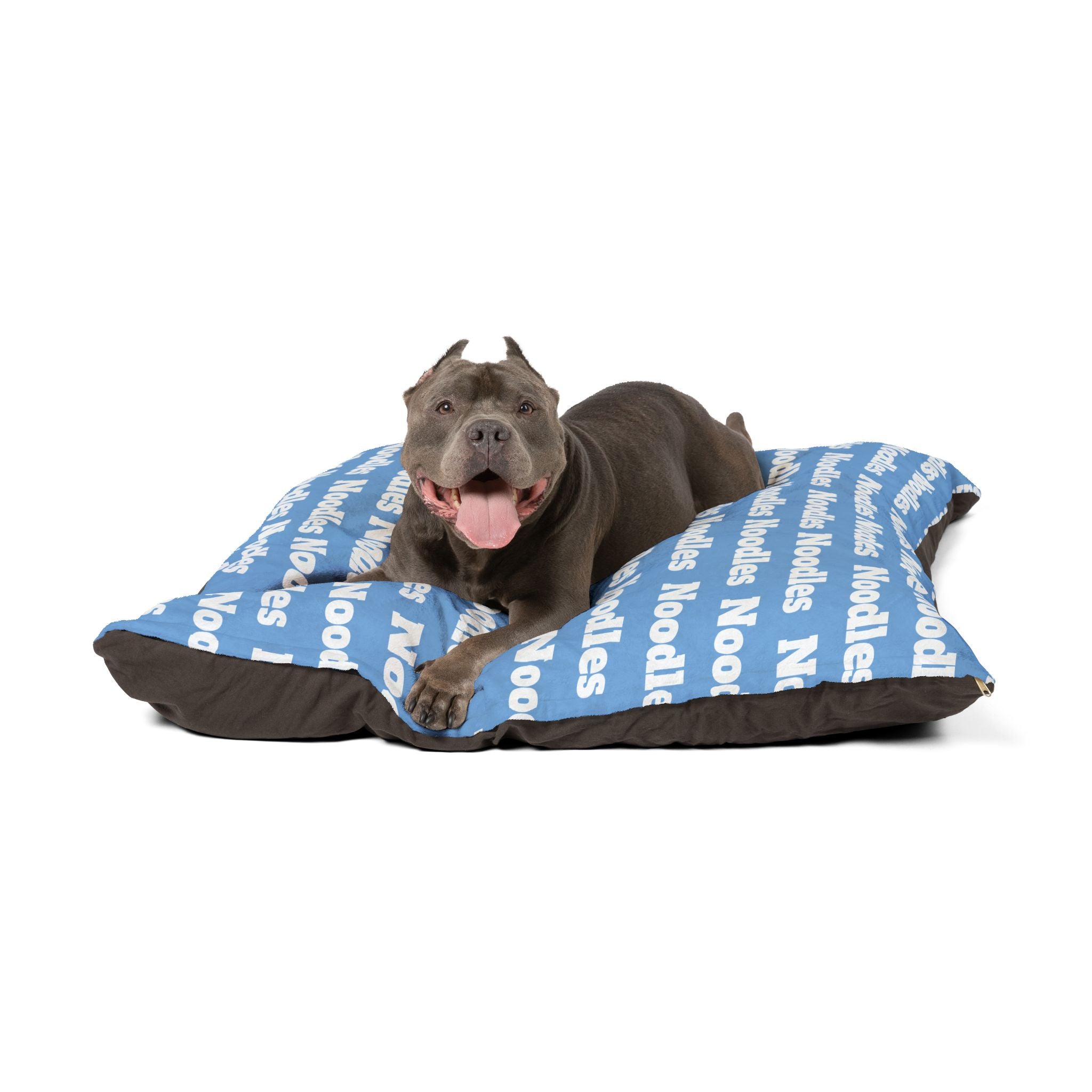 Personalized Pet Name Bed – Light Blue Washable Dog or Cat Pillow with Custom Name