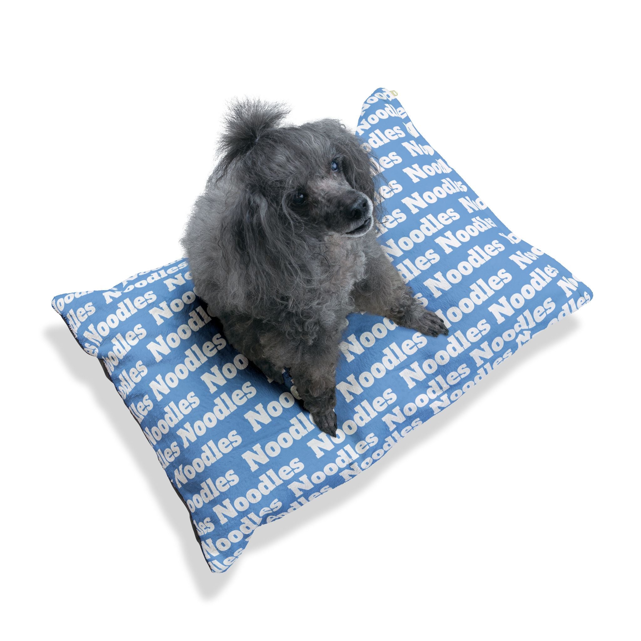 Personalized Pet Name Bed – Light Blue Washable Dog or Cat Pillow with Custom Name